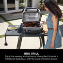 Ninja Woodfire Pro XL Electric BBQ Grill & Smoker with Digital Probe, Large 4-in-1 Outdoor Grill & Air Fryer with Smart Cook System & Woodfire Pellets, Weather Resistant, Portable, Grey/Black OG850UK