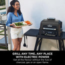 Ninja Woodfire Pro XL Electric BBQ Grill & Smoker with Digital Probe, Large 4-in-1 Outdoor Grill & Air Fryer with Smart Cook System & Woodfire Pellets, Weather Resistant, Portable, Grey/Black OG850UK